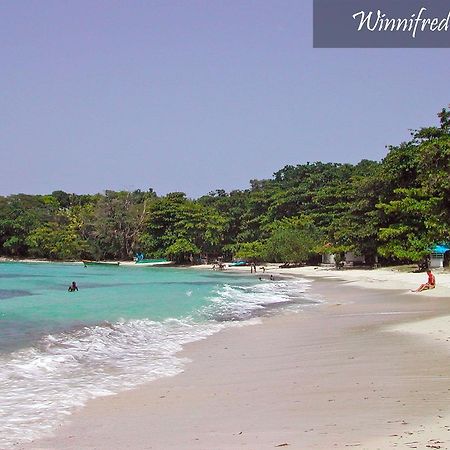 Moon San Villa At The Blue Lagoon Port Antonio Luaran gambar