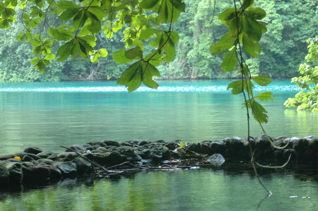 Moon San Villa At The Blue Lagoon Port Antonio Luaran gambar