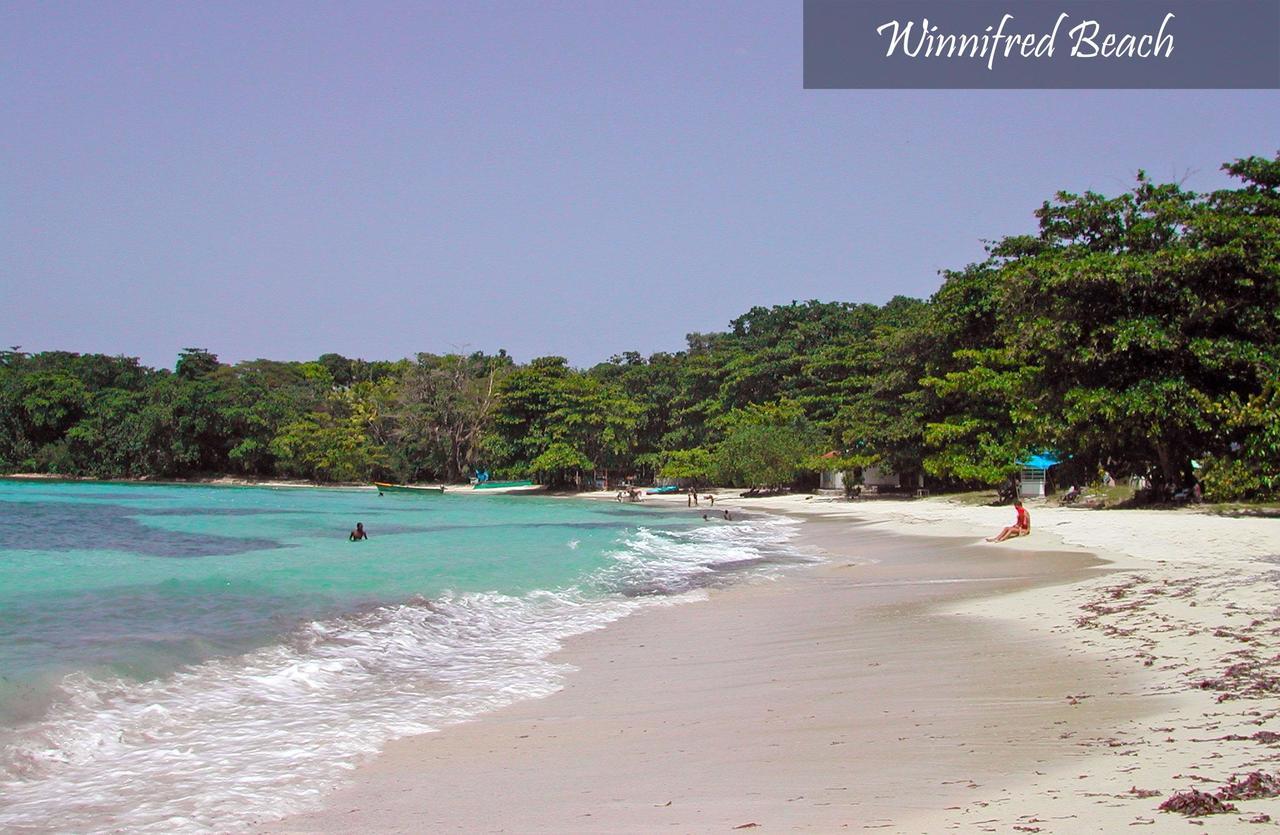 Moon San Villa At The Blue Lagoon Port Antonio Luaran gambar